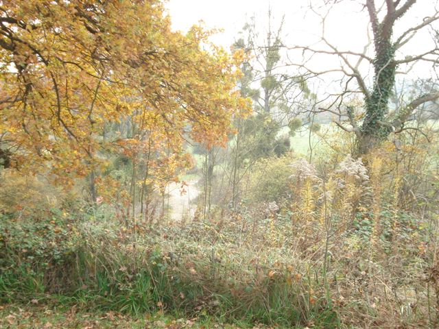 DSC01689