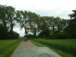 DSC07226