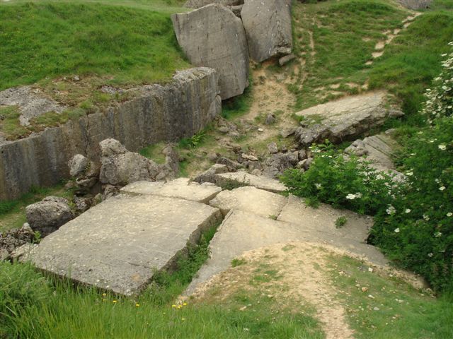 DSC02820